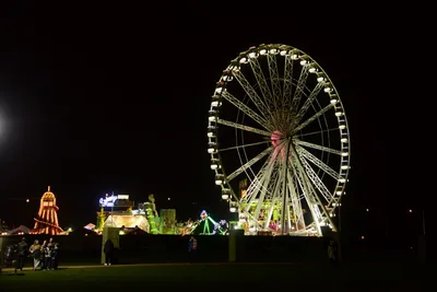 DSC_6105 (Large).JPG